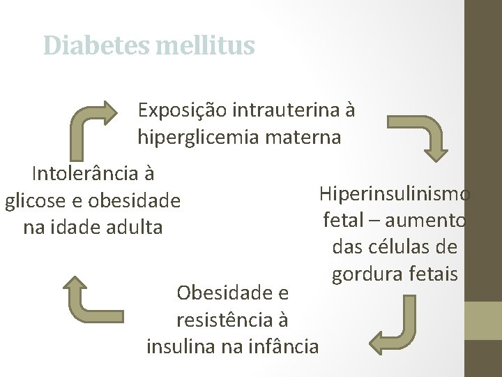 Diabetes mellitus Exposição intrauterina à hiperglicemia materna Intolerância à glicose e obesidade na idade