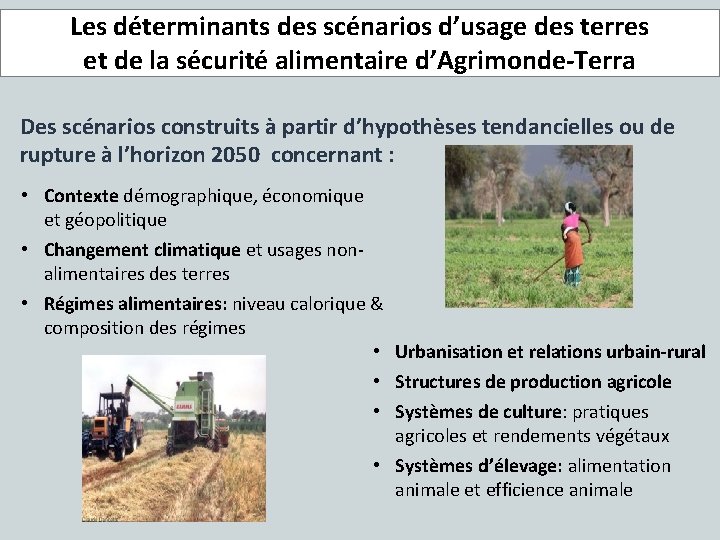 Les déterminants des scénarios d’usage des terres et de la sécurité alimentaire d’Agrimonde-Terra Des