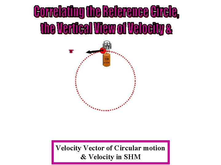 Velocity Vector of Circular motion & Velocity in SHM 