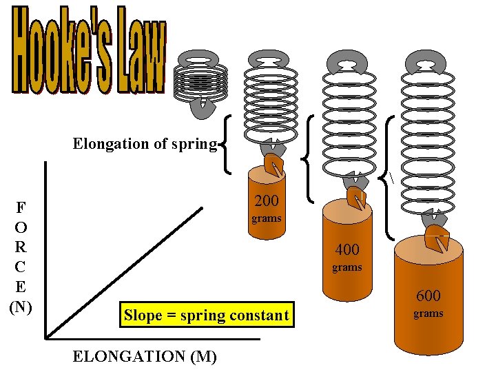 Elongation of spring  F O R C E (N) 200 grams 400 grams