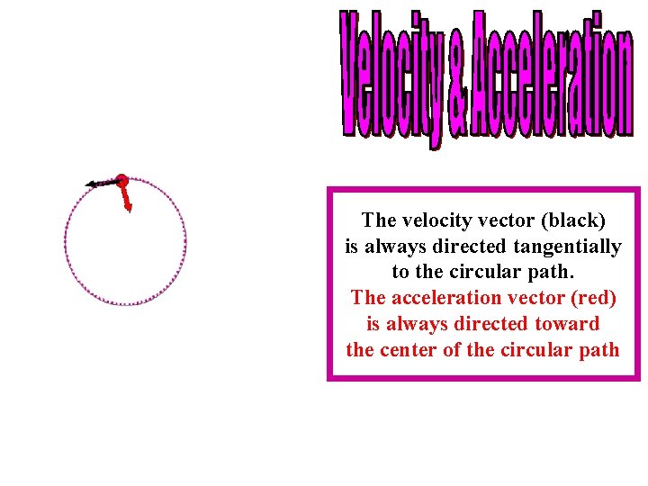 The velocity vector (black) is always directed tangentially to the circular path. The acceleration