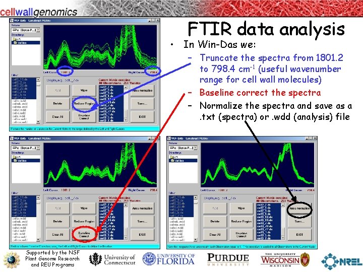 FTIR data analysis • In Win-Das we: – Truncate the spectra from 1801. 2