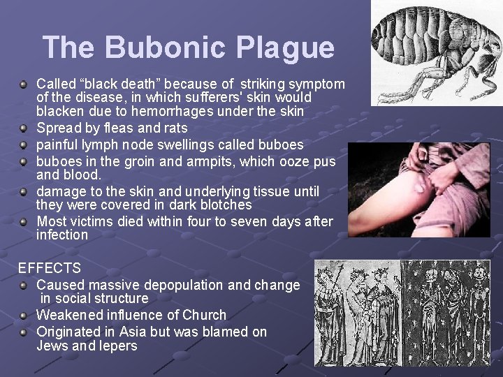 The Bubonic Plague Called “black death” because of striking symptom of the disease, in