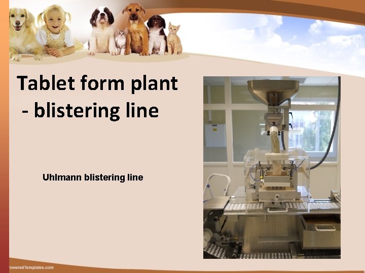 Tablet form plant - blistering line Uhlmann blistering line 