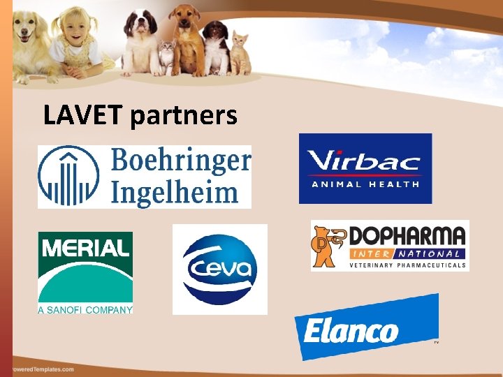 LAVET partners 