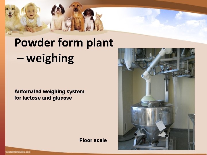 Powder form plant – weighing Automated weighing system for lactose and glucose Floor scale