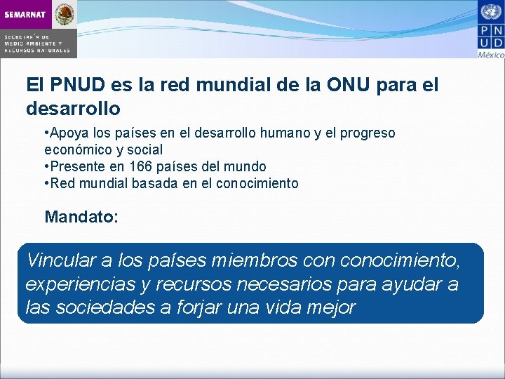 El PNUD es la red mundial de la ONU para el desarrollo • Apoya