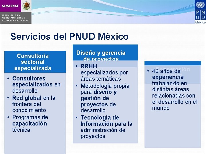 Servicios del PNUD México Consultoría sectorial especializada • Consultores especializados en desarrollo • Red