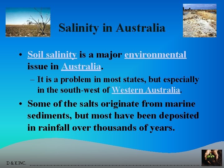 Salinity in Australia • Soil salinity is a major environmental issue in Australia. –