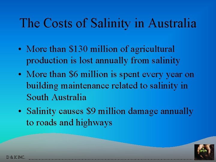 The Costs of Salinity in Australia • More than $130 million of agricultural production