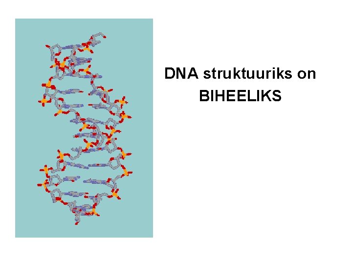 DNA struktuuriks on BIHEELIKS 