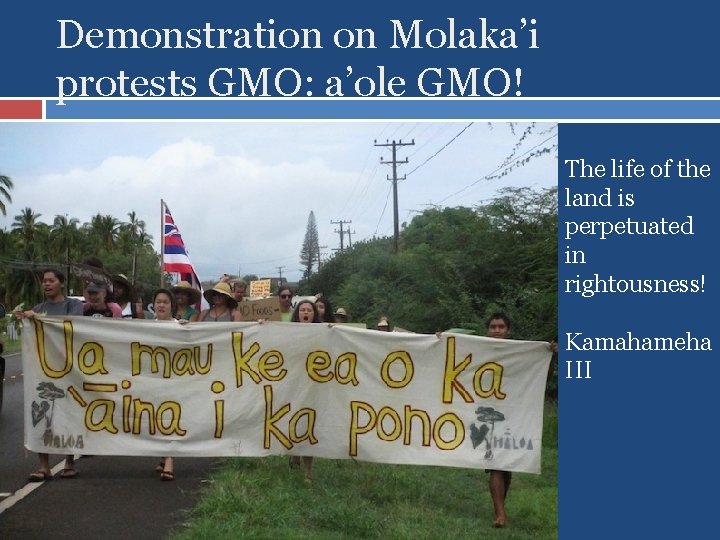 Demonstration on Molaka’i protests GMO: a’ole GMO! The life of the land is perpetuated