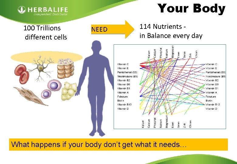 Your Body 100 Trillions different cells NEED 114 Nutrients in Balance every day What