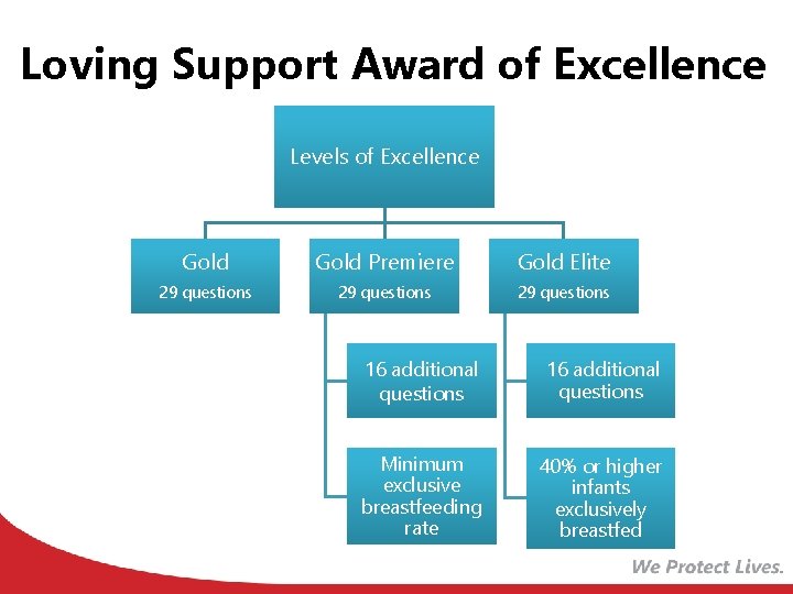 Loving Support Award of Excellence Levels of Excellence Gold Premiere Gold Elite 29 questions