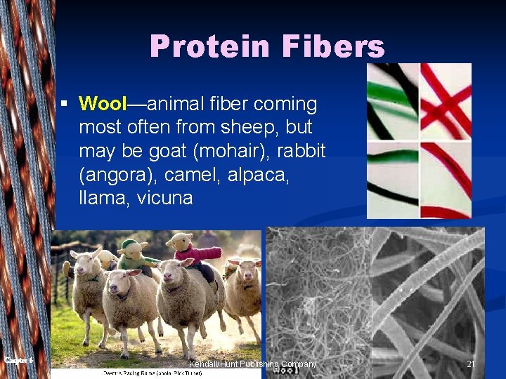 Protein Fibers § Wool—animal fiber coming most often from sheep, but may be goat