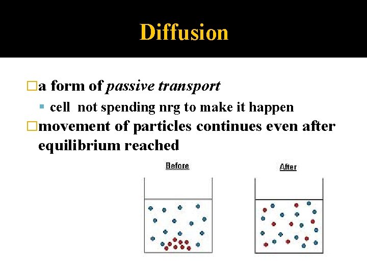Diffusion �a form of passive transport cell not spending nrg to make it happen