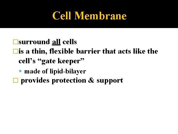 Cell Membrane �surround all cells �is a thin, flexible barrier that acts like the