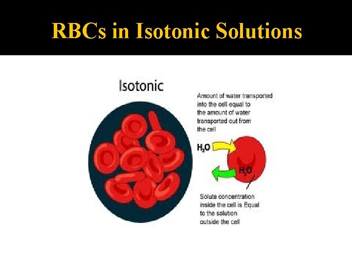 RBCs in Isotonic Solutions 