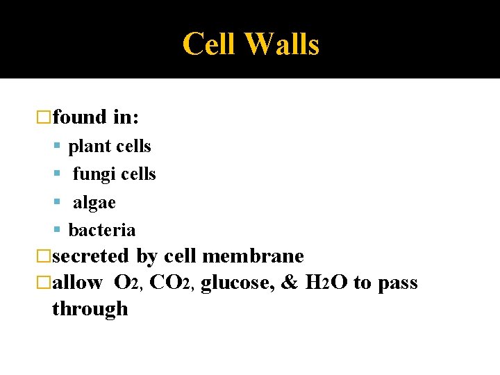 Cell Walls �found in: plant cells fungi cells algae bacteria �secreted by cell membrane