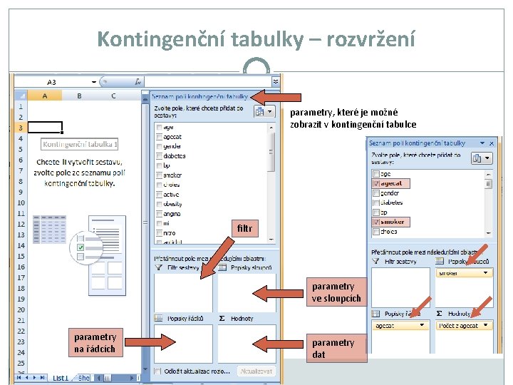 Kontingenční tabulky – rozvržení parametry, které je možné zobrazit v kontingenční tabulce filtr parametry