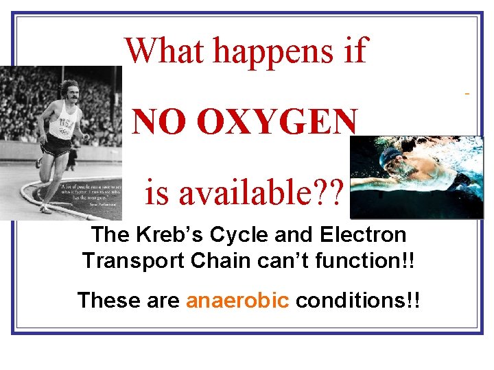 What happens if NO OXYGEN is available? ? The Kreb’s Cycle and Electron Transport