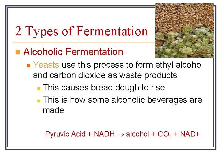 2 Types of Fermentation n Alcoholic Fermentation n Yeasts use this process to form