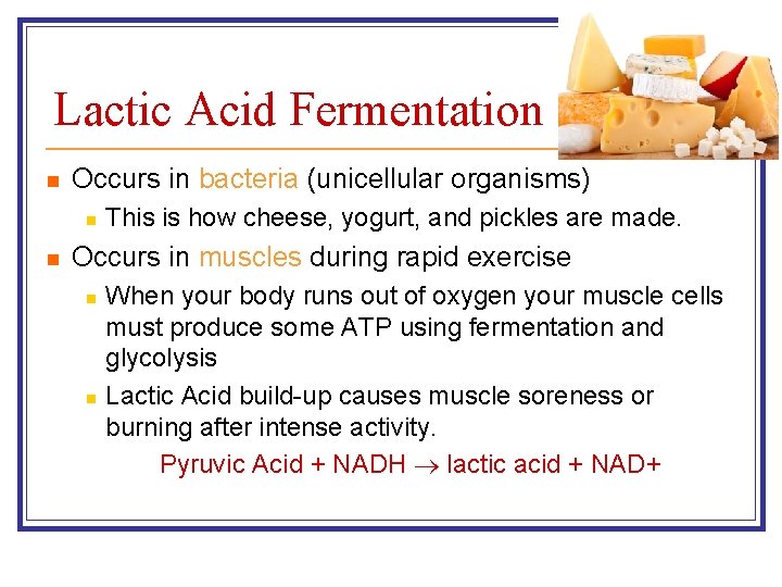 Lactic Acid Fermentation n Occurs in bacteria (unicellular organisms) n n This is how