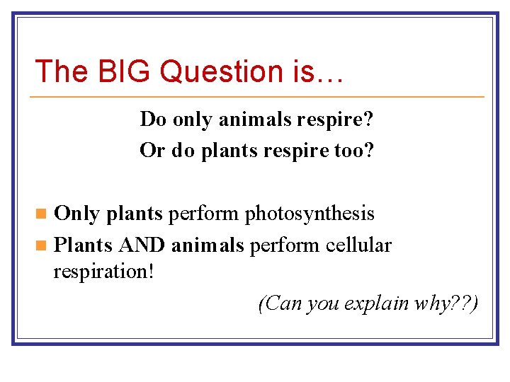 The BIG Question is… Do only animals respire? Or do plants respire too? Only