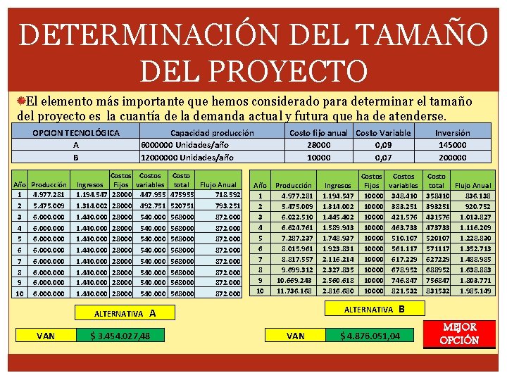 DETERMINACIÓN DEL TAMAÑO DEL PROYECTO El elemento más importante que hemos considerado para determinar