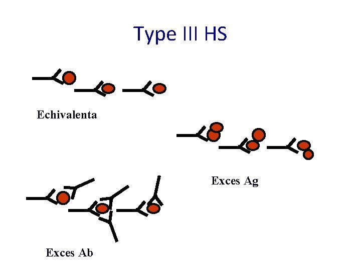 Type III HS Echivalenta Exces Ag Exces Ab 