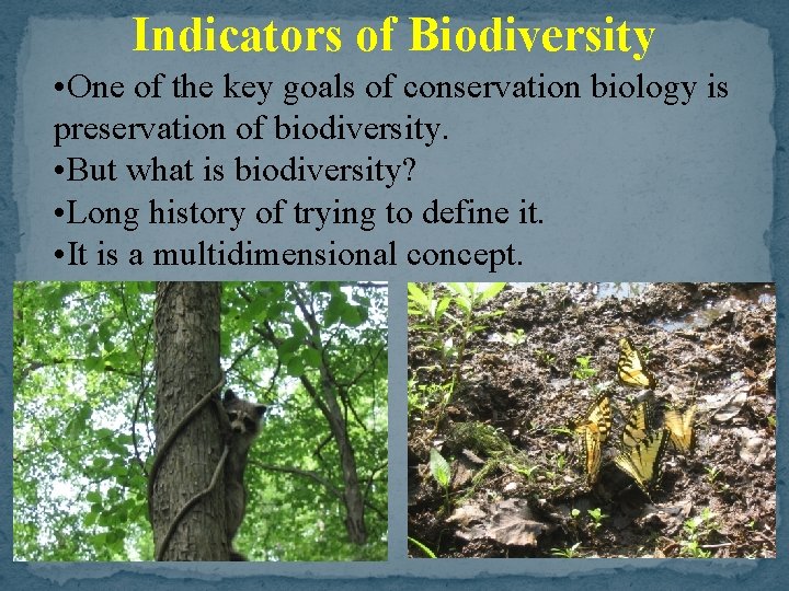Indicators of Biodiversity • One of the key goals of conservation biology is preservation