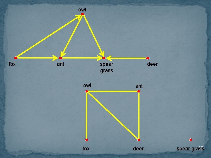 owl fox ant deer spear grass owl ant fox deer 27 spear grass 