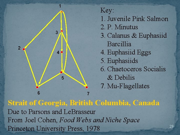 1 Key: 1. Juvenile Pink Salmon 2. P. Minutus 3. Calanus & Euphasiid Barcillia