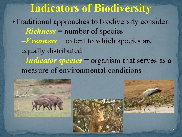 Indicators of Biodiversity • Traditional approaches to biodiversity consider: –Richness = number of species