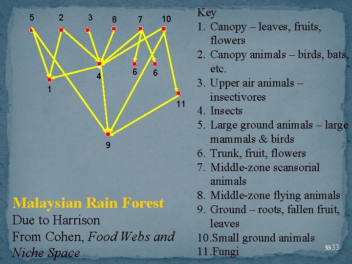 5 2 3 8 6 4 10 7 6 1 11 9 Malaysian Rain