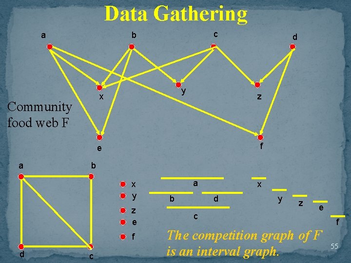 Data Gathering a c b y x Community food web F z f e