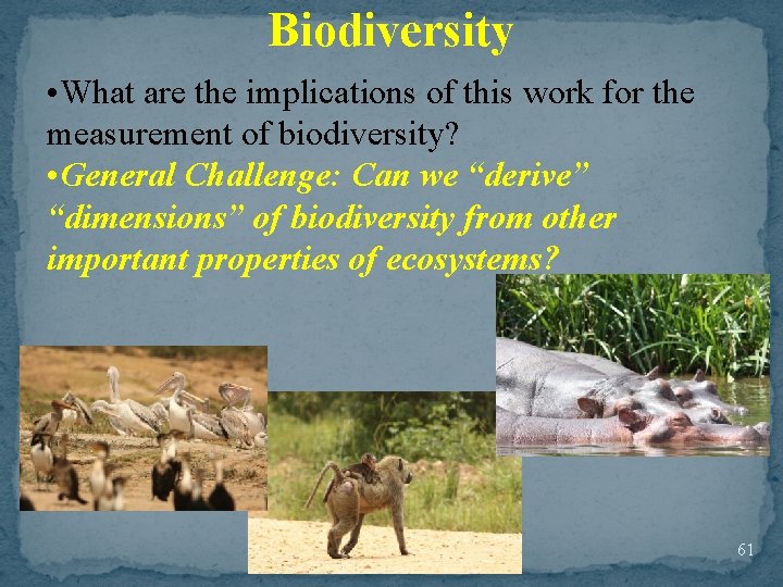 Biodiversity • What are the implications of this work for the measurement of biodiversity?
