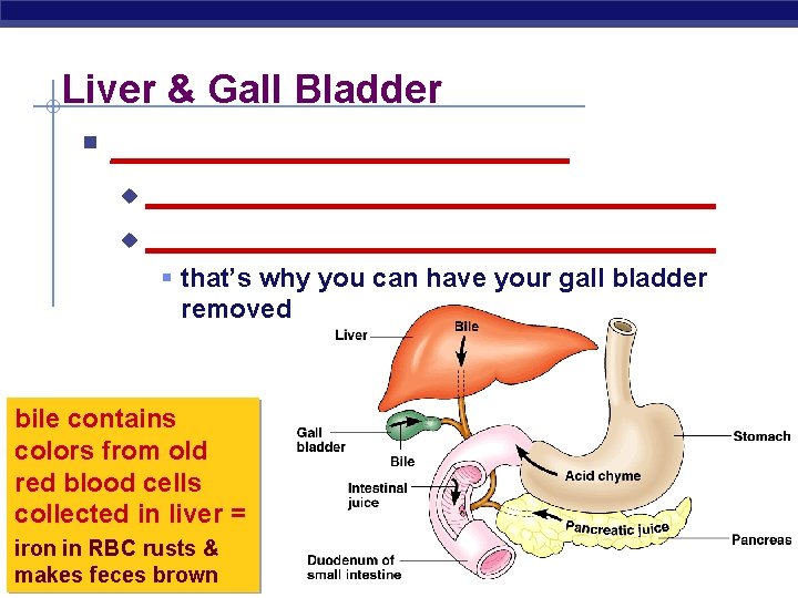 Liver & Gall Bladder § _____________________________ u § that’s why you can have your