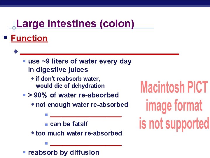Large intestines (colon) § Function u __________________ § use ~9 liters of water every
