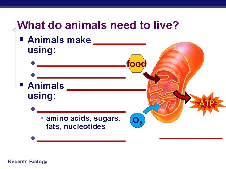 What do animals need to live? § Animals make _____ using: _________ food u