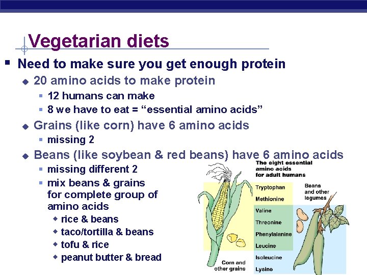 Vegetarian diets § Need to make sure you get enough protein u 20 amino