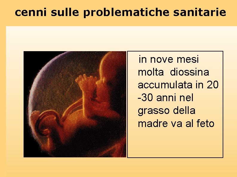 cenni sulle problematiche sanitarie in nove mesi molta diossina accumulata in 20 -30 anni