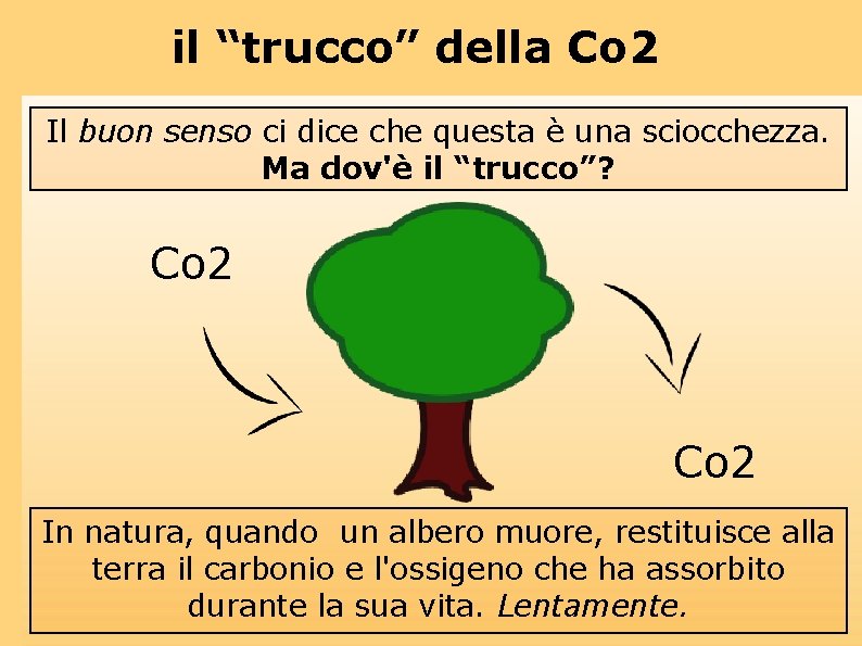 il “trucco” della Co 2 Il buon senso ci dice che questa è una