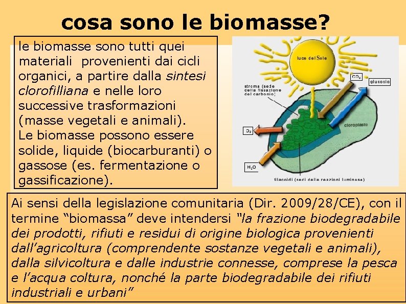 cosa sono le biomasse? le biomasse sono tutti quei materiali provenienti dai cicli organici,