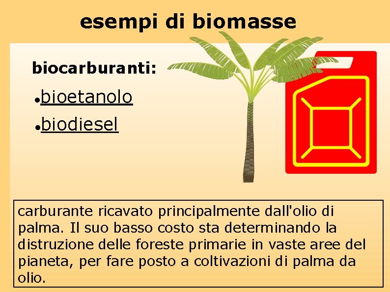 esempi di biomasse biocarburanti: bioetanolo biodiesel carburante ricavato principalmente dall'olio di palma. Il suo