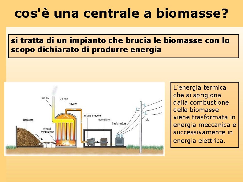 cos'è una centrale a biomasse? si tratta di un impianto che brucia le biomasse