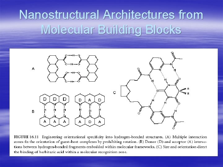 Nanostructural Architectures from Molecular Building Blocks 