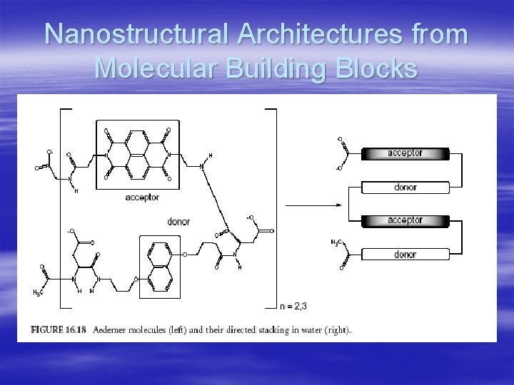 Nanostructural Architectures from Molecular Building Blocks 