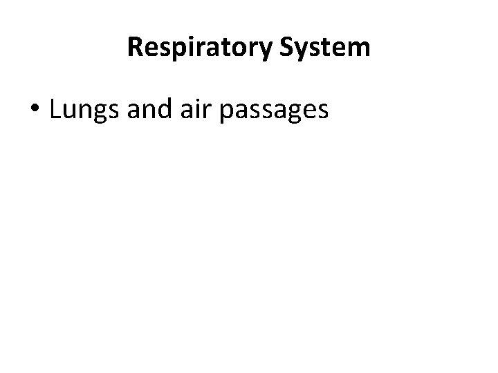 Respiratory System • Lungs and air passages 