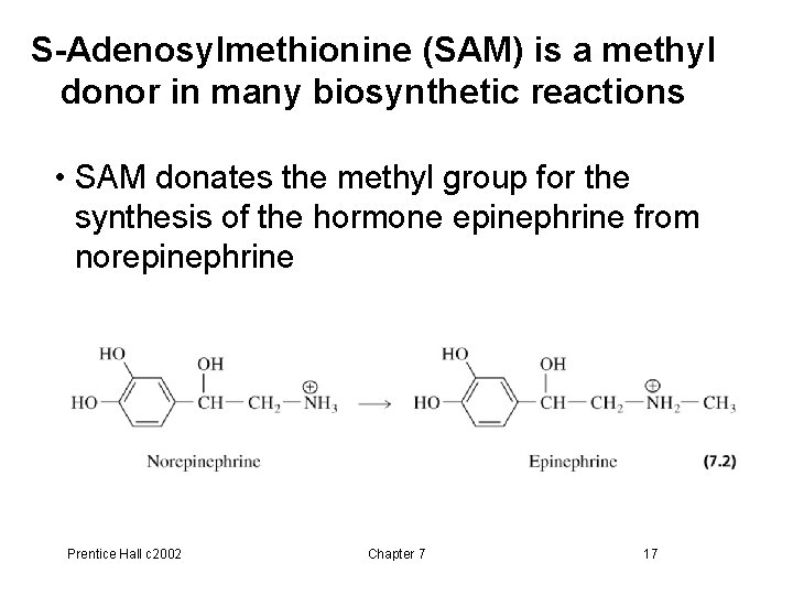 S-Adenosylmethionine (SAM) is a methyl donor in many biosynthetic reactions • SAM donates the